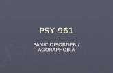 PSY 961 PANIC DISORDER / AGORAPHOBIA. PANIC ATTACK - DSM DISCRETE PERIOD OF INTENSE FEAR OR DISCOMFORT WITH FOUR OF THE FOLLOWING SYMPTOMS, REACHING A.