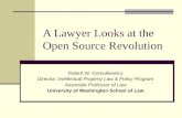 A Lawyer Looks at the Open Source Revolution Robert W. Gomulkiewicz Director, Intellectual Property Law & Policy Program Associate Professor of Law University.