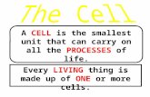 A CELL is the smallest unit that can carry on all the PROCESSES of life. Every LIVING thing is made up of ONE or more cells.