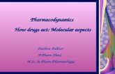 Pawitra Pulbutr B.Pharm (Hon), M.Sc. In Pharm (Pharmacology) Pharmacodynamics How drugs act: Molecular aspects Pharmacodynamics How drugs act: Molecular.