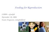 Feeding for Reproduction OABP—Guelph November 30, 2006 Ewen Ferguson, Campbellford.