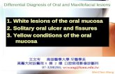 WenChen Wang 1. White lesions of the oral mucosa 2. Solitary oral ulcer and fissures 3. Yellow conditions of the oral mucosa 王文岑 高雄醫學大學 牙醫學系 高醫大附設醫院