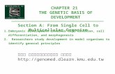 CHAPTER 21 THE GENETIC BASIS OF DEVELOPMENT Section A: From Single Cell to Multicellular Organism 1.Embryonic development involves cell division, cell.