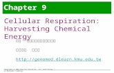 Copyright © 2005 Pearson Education, Inc. publishing as Benjamin Cummings Chapter 9 Cellular Respiration: Harvesting Chemical Energy 高醫 生物醫學暨環境生物學系 助理教授.