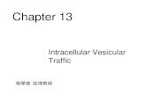 Chapter 13 Intracellular Vesicular Traffic 張學偉 助理教授.