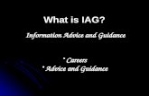 What is IAG? Careers Advice and Guidance Information Advice and Guidance.