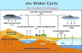 The Water Cycle this is where it all begins. Infiltration ( also called percolation ) only happens when the ground is permeable PermeableImpermeable water.