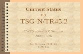 1 Current Status on TSG-N/TR45.2 CWTS cdma2000 Seminar 2000/07/26 Lee, Hee Joung ( 李 喜 禎 ) LGIC, Ltd.