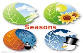 Seasons 1. 1. Seasons in Shantou 2. My Favorite Season 3.Spring 4.Summer 5. Winter 6. Enjoy the Pictures of Seasons Seasons in ShantouMy Favorite SeasonSpringSummer.