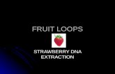 FRUIT LOOPS STRAWBERRY DNA EXTRACTION. Did You Know… There are about 2 meters of DNA in each of your cells. There are about 2 meters of DNA in each of.