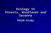 Ecology 15 Forests, Woodlands and Savanna Ralph Kirby.
