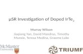 ΜSR Investigation of Doped IrTe 2 Murray Wilson Jiaqiang Yan, David Mandrus, Timothy Munsie, Teresa Medina, Graeme Luke.