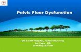 Pelvic Floor Dysfunction OB & GYN Hospital, Fudan University Lei Yuan, MD ylronda@163.com.