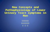 New Concepts and Pathophysiology of Lower Urinary Tract symptoms in Men 가톨릭대학교 비뇨기과학교실 이 용 석.