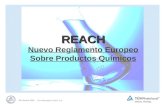 TÜV Rheinland / ICICT S.A 09 Octubre 2008 REACH REACH Nuevo Reglamento Europeo Sobre Productos Químicos.