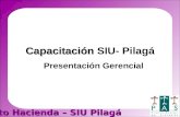 Proyecto Hacienda – SIU Pilagá Capacitación Capacitación SIU- Pilagá Presentación Gerencial.
