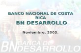 BANCO NACIONAL DE COSTA RICA BN DESARROLLO Noviembre, 2003.