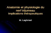 Anatomie et physiologie du nerf trijumeau Implications thérapeutiques M. Laghmari.