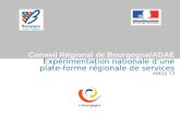 Conseil Régional de Bourgogne/ADAE Expérimentation nationale dune plate-forme régionale de services ADELE 73.