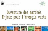 Edouard Toulouse, WWF-France. Développement des renouvelables en France LUE sest engagée à multiplier par 3 la part des énergies renouvelables dici 2020.