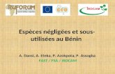 Espèces négligées et sous- utilisées au Bénin A. Dansi, A. Eteka, P. Azokpota, P. Assogba FAST / FSA / IRDCAM.