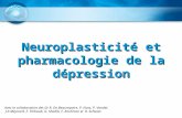 Neuroplasticité et pharmacologie de la dépression Avec la collaboration des Dr R. De Beaurepaire, P. Nuss, P. Vandel, J.A Meynard, F. Thibault, G. Shadili,