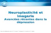 Neuroplasticité et imagerie Avancées récentes dans la dépression Avec la collaboration des Dr P. Fossati, T. Bougerol, R. Jouvent, et F. Jollant.