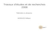 Travaux détudes et de recherches 2008 Télémètre à ultrasons MORKOS William.
