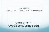 Drt 6903A Droit du commerce électronique Cours 4 – Cyberconsommation.