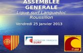 PROCES VERBAL DE L ASSEMBLEE GENERALE Ligue surf Languedoc Roussillon Vendredi 25 Janvier 2013.