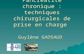 Pancréatite chronique : techniques chirurgicales de prise en charge Guylène GADSAUD.