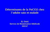 Déterminants de la PaCO2 chez ladulte sain et malade JL Diehl Service de Réanimation Médicale HEGP.