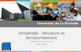 Apprendre Chercher Innover Université : structure et fonctionnement Formation CIES du 19 juin 2011 Anne Goudot.