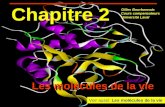 Chapitre 2 Les molécules de la vie Gilles Bourbonnais Cours compensateurs Université Laval Voir aussi: Les molécules de la vieLes molécules de la vie.
