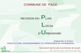 Pacé – Révision du PLU – réunion du 12 Juin 2003 COMMUNE DE PACE REVISION DU P LAN L OCAL D U RBANISME Diagnostic et Enjeux AGRICULTURE, ENVIRONNEMENT.