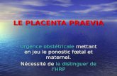 LE PLACENTA PRAEVIA Urgence obstétricale mettant en jeu le ponostic fœtal et maternel. Nécessité de le distinguer de lHRP.