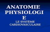 ANATOMIE PHYSIOLOGIE LE SYSTÈME CARDIOVASCULAIRE.