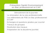 Prévention Santé Environnement en Bac professionnel et CAP Déroulement de la journée - La rénovation de la voie professionnelle - Les référentiels de PSE.