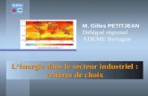 Lénergie dans le secteur industriel : critères de choix M. Gilles PETITJEAN Délégué régional ADEME Bretagne.