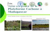 Mise en place de la Plateforme Carbone à Madagascar Armel Gentien Junior consultant FAO-FIDA Septembre 2010.