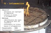 GIS Incendies de Forêt, Aix-en-Provence, 3 juin 20051 T3 - Inflammabilité Objectif –déterminer une typologie de végétation –associer un niveau dinflammabilité