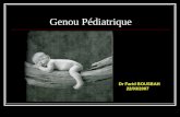 Genou Pédiatrique Dr Farid BOUSBAH 22/03/2007. Anatomie du genou.
