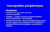 Neuropathies périphériques Classification Atteinte dun seul tronc nerveux: mononeuropathies Atteinte > 2 troncs nerveux: polyneuropathies (forme particulière=