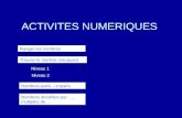 ACTIVITES NUMERIQUES Trouver le nombre manquant Ranger les nombres Niveau 1 Niveau 2 Nombres pairs – impairs Nombres divisibles par …, multiples de …