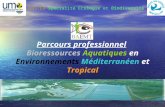 Parcours professionnel Bioressources Aquatiques en Environnements Méditerranéen et Tropical MASTER Sp é cialit é Ecologie et Biodiversité