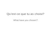 Quest-ce que tu as choisi? What have you chosen?.