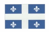 Jargon québécois Une débarbouillette - Un gant de toilette Astiner - Dire le contraire Pantoute - Pas du tout.
