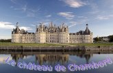 Le démarrage de la construction du château de Chambord date du début du XVIème siècle et na jamais été terminé …