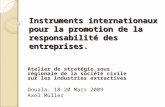 Instruments internationaux pour la promotion de la responsabilité des entreprises. Atelier de stratégie sous régionale de la société civile sur les industries.