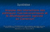 Synthèse : Analyse des interactions des politiques macroéconomiques et le développement agricole au Cameroun Étude initiée par lOCDE/Division des politiques.